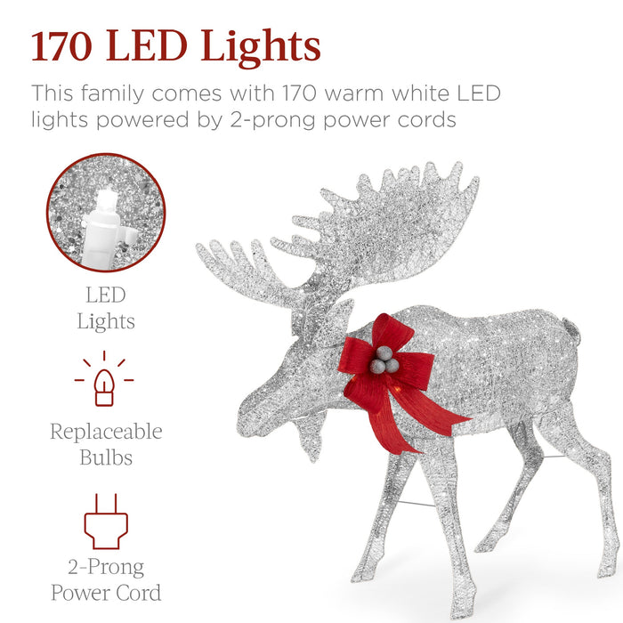 2-Piece Moose Family Lighted Outdoor Christmas Decoration Set w/ 170 Lights