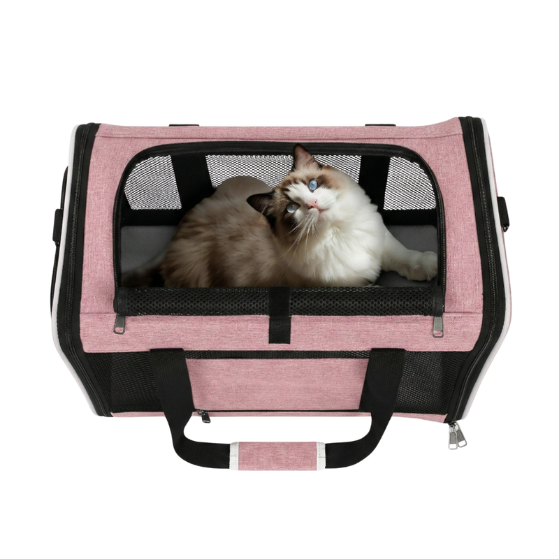 Soft Pet Carrier with Top & Side Entry, Mesh Panels, Foldable
