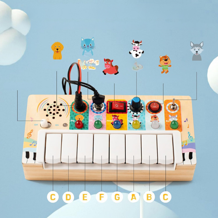 Engaging Montessori Play Set, Developmental Learning for Infants