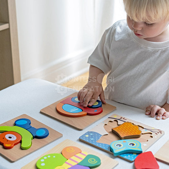 Wooden Animal Puzzle Set for Kids with Illustrated Designs