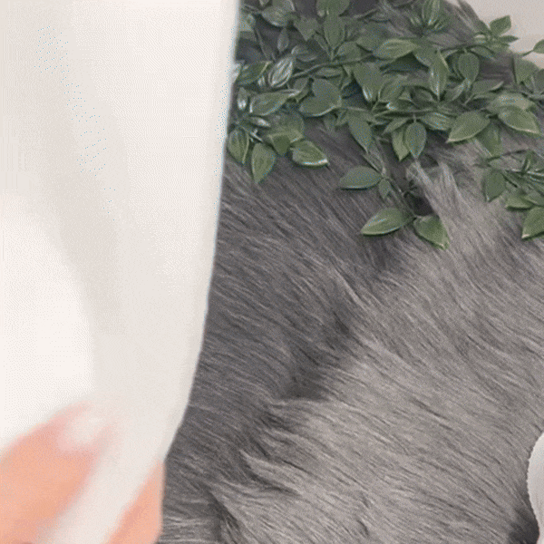 Soft Potty Training Underwear, Kid-Friendly