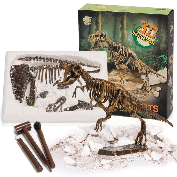 Exciting Fossil Excavation Kit, Educational Adventure