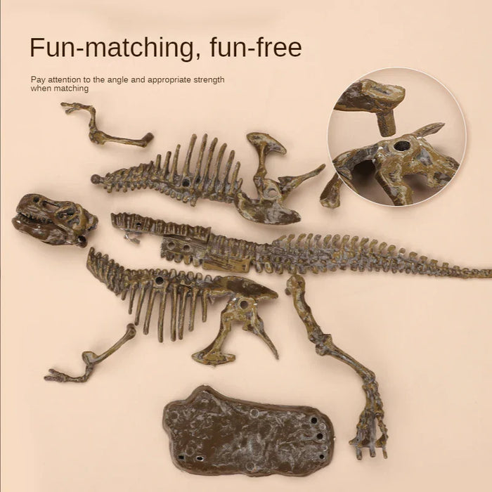 Exciting Fossil Excavation Kit, Educational Adventure