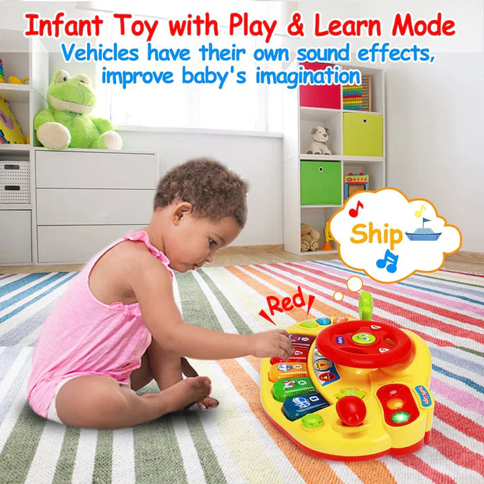 Interactive Driving Accessory, Educational Experience