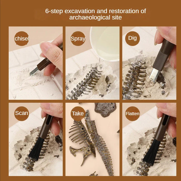 Exciting Fossil Excavation Kit, Educational Adventure