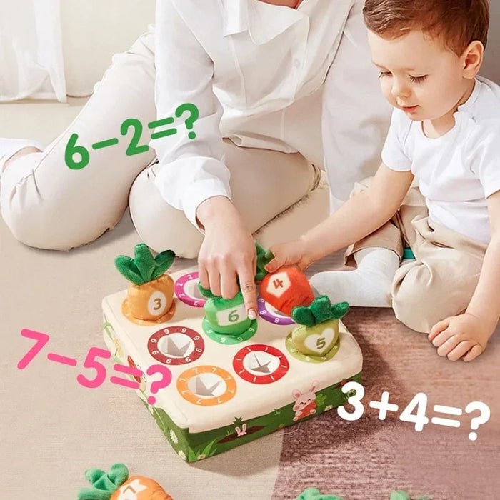 Sensory Carrots, Interactive Textures