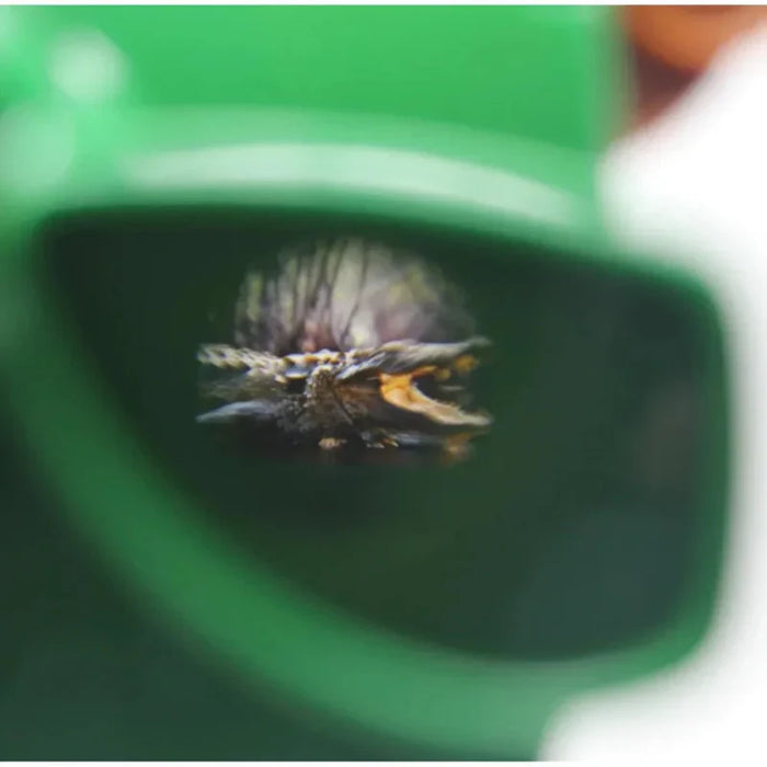 Retro 3D Viewer, Fun Design