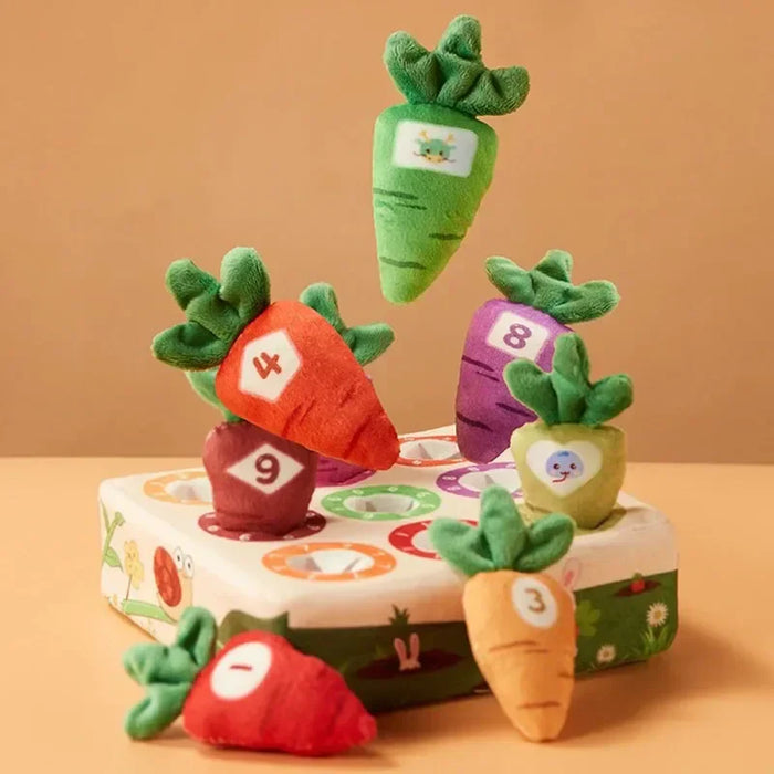 Sensory Carrots, Interactive Textures