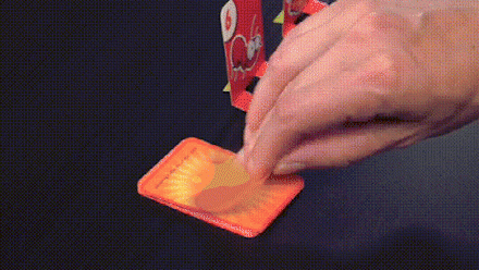 Engaging Frog Activity Game, Fun for All Ages