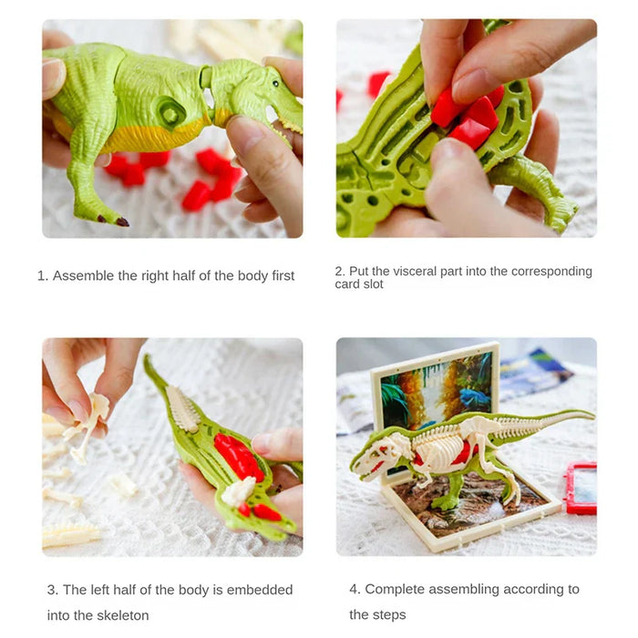 Exciting Fossil Excavation Kit, Educational Adventure