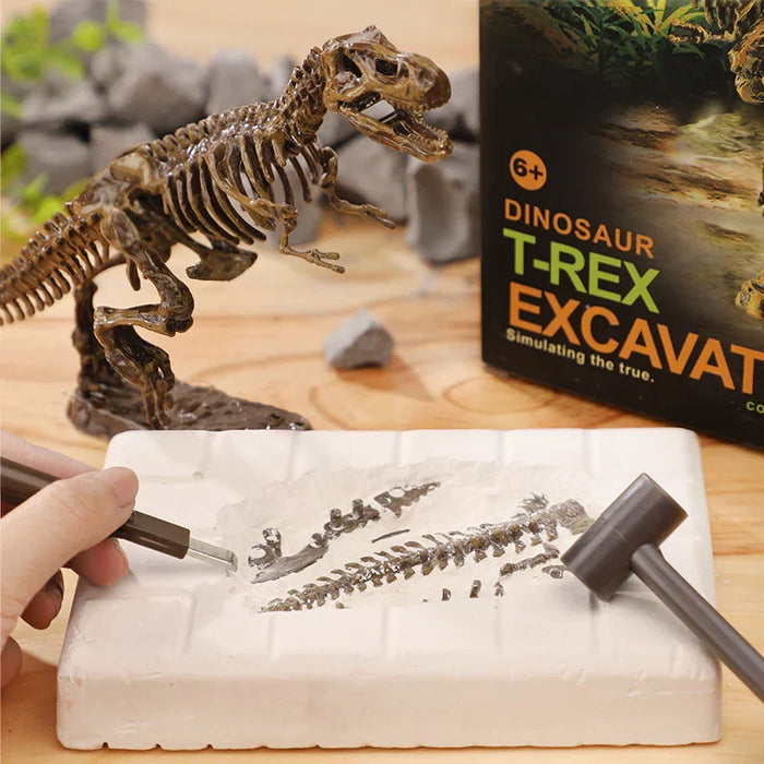 Exciting Fossil Excavation Kit, Educational Adventure