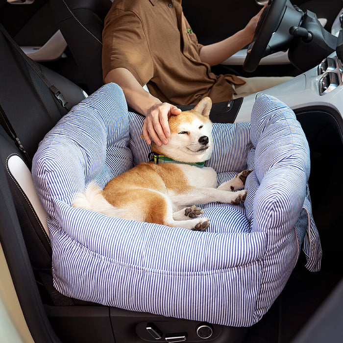 Cozy Dog Nest, Car Travel